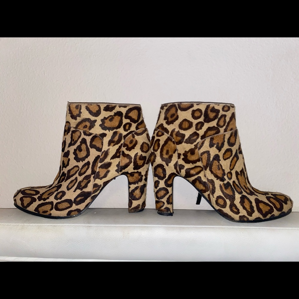 Sam Edelman Leopard booties